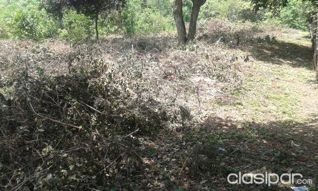 Vendo 8 terreno — foto 2
