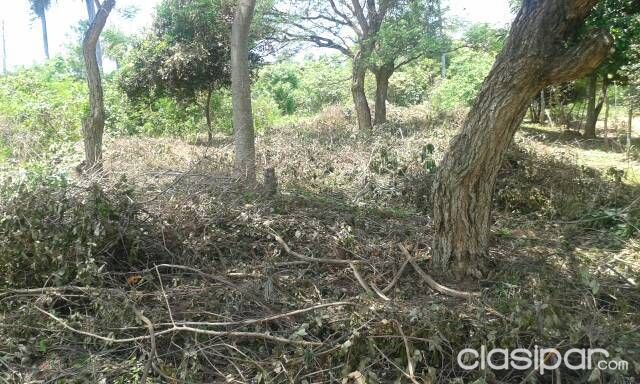 Vendo 8 terreno — foto 3