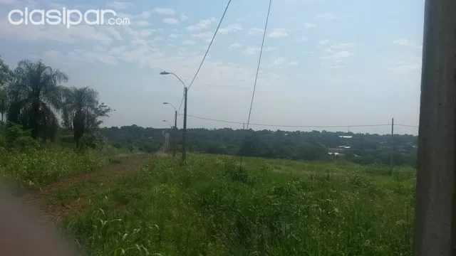 Vendo propiedad de 8 hs en hernandarias — foto 2