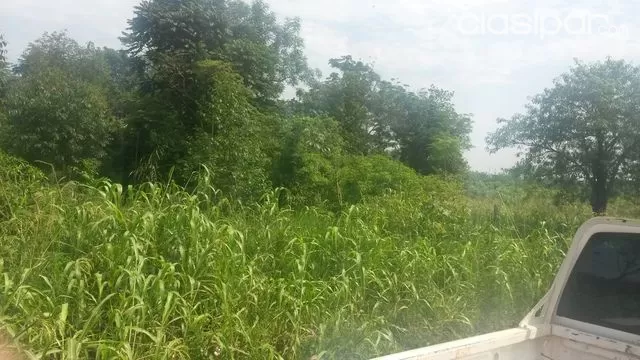 Vendo propiedad de 8 hs en hernandarias — foto 3