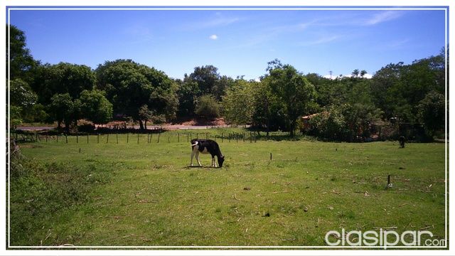 Vendo 14 lotes juntos sobre asfalto en Limpio — foto 3