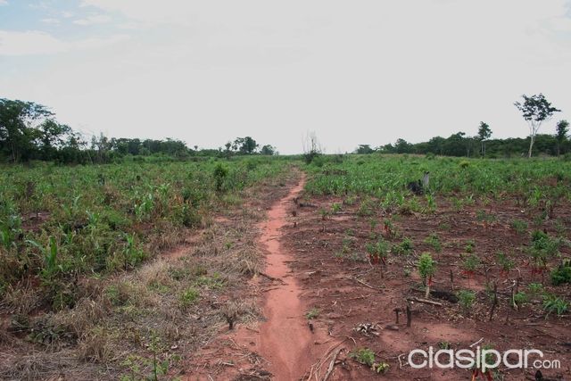 10 hectareas sobre la ruta 3km 285 en la nueva Ciudad de Liberacion — foto 2