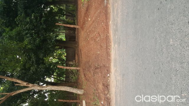 VENDO HERMOSO TERRENO SOBRE ASFALTO — foto 3