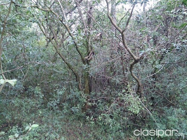 TERRENO DE 5.093 Mts2 en AREGUÁ — foto 3