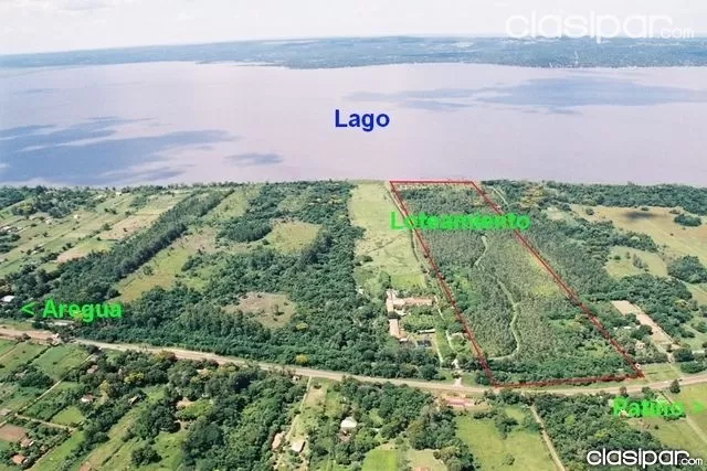 Terreno 40.000 m2 (4 Hectareas) sobre el Lago Ypacarai s Ruta Aregua - Patinio — foto 2