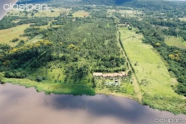Terreno 40.000 m2 (4 Hectareas) sobre el Lago Ypacarai s Ruta Aregua - Patinio — foto 3