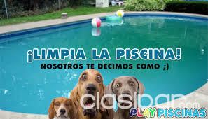= Mantenimiento de Peceras y Cascadas y fuentes de Agua!:Limpieza mantenimiento de Piscinas= — foto 3