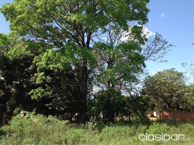 ATENCIÓN CAPIATÁ ZONA MUNICIPALIDAD!!! EXCLUSIVOS TERRENOS SASFALTO A MINUTOS DEL CENTRO MISMO DE LA CIUDAD!!! — foto 3