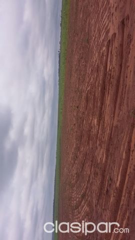 VENDO HERMOSO TERRENO DE 33 has. — foto 3