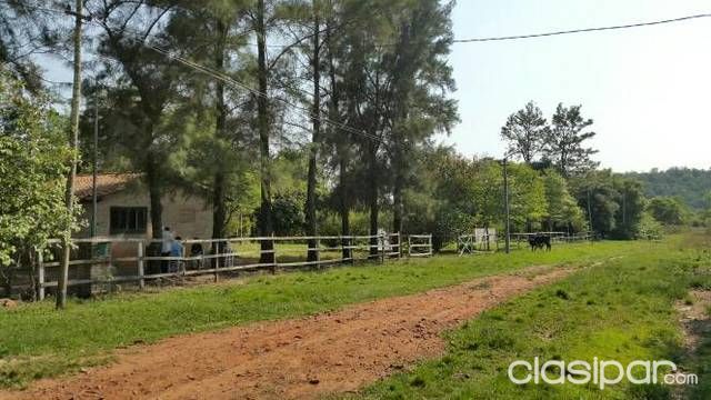 Vendo casa en pirayu — foto 2
