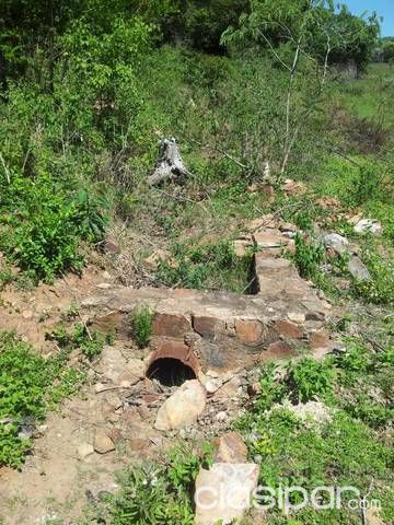 Vendo terreno 4ha. Sobre ruta nro. 3 — foto 3