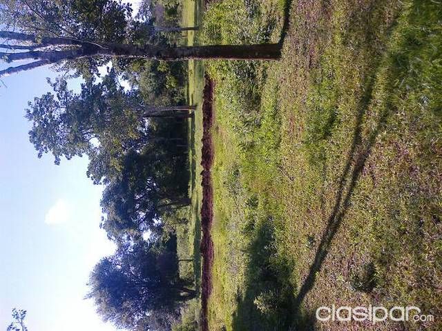 Vendo terreno 50 X 25 — foto 2
