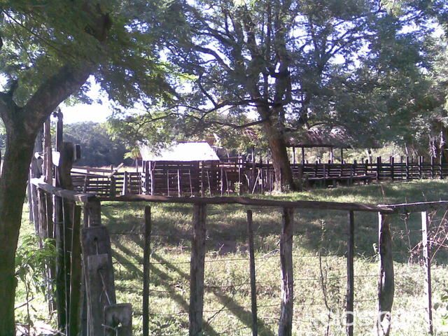 ESTANCIA-CAMPO SANTA ANA - 270 Has. - MBOCAYATY, GUAIRA — foto 2