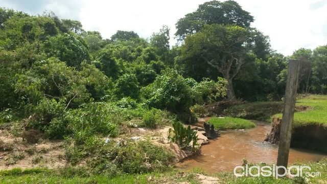 TERRENO PARA QUINTA CON ARROYO EN CAACUPE — foto 2