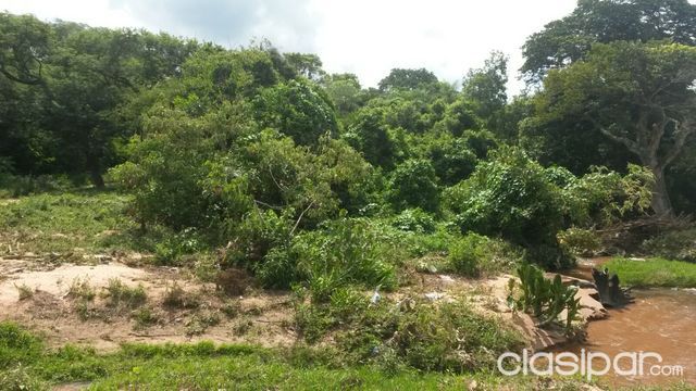 TERRENO PARA QUINTA CON ARROYO EN CAACUPE — foto 3