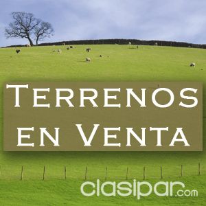 Casa & Campo - Servicios Inmobiliarios - CASAS - DUPLEX - TERRENOS — foto 3