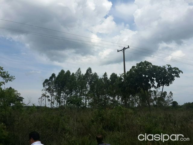 Vendo regalado Terreno 25 hectáreas en Minga Guazu especial para Granja o Sojal — foto 2