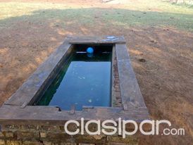 CHORÉ - PARA GANADERÍA AGRICULTURA - 80 HECTÁREAS Linda con el Río Jejuí — foto 3