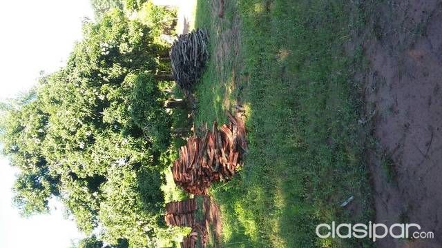 terreno en limpio — foto 2