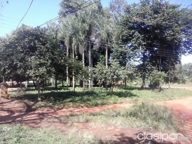 VENDO TERRENO EN ZONA DE LA GOBERNACION — foto 2
