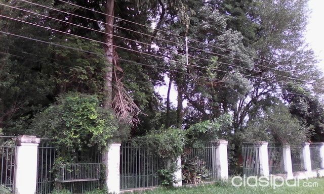 Vendo 4 terrenos en Luque — foto 3