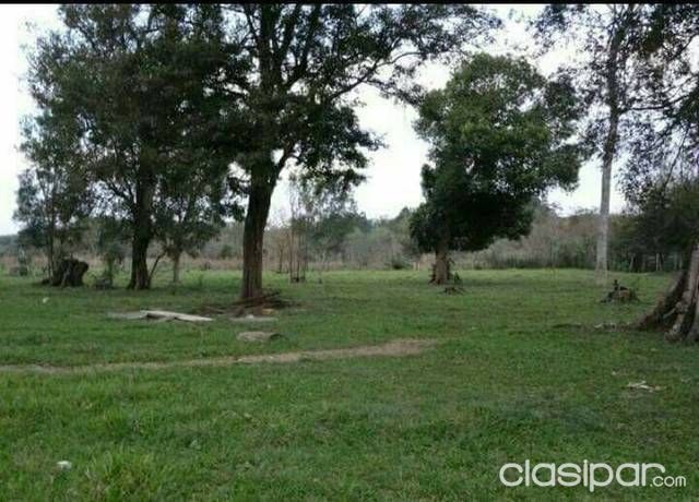 Vendo 15 hectáreas oferta. — foto 3