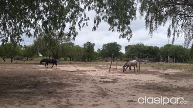 OFERTA DEL AÑO, 900 HA. CHACO — foto 2