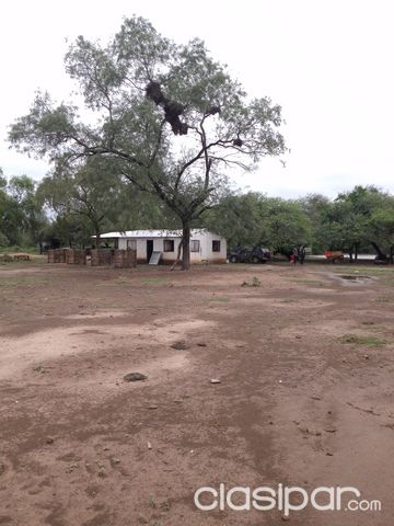 OFERTA DEL AÑO, 900 HA. CHACO — foto 3