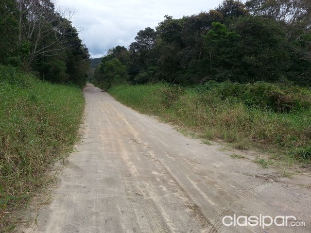 vendo loteamento com 500 lotes na praia de itapoá sc brasil — foto 2