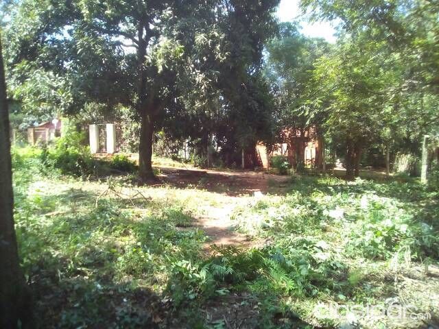 Vendo un terreno d 26x14 m2 a 30m d Manuel O. Guerrero en el barrio Rincón d Ñemby sobre empedrado — foto 2