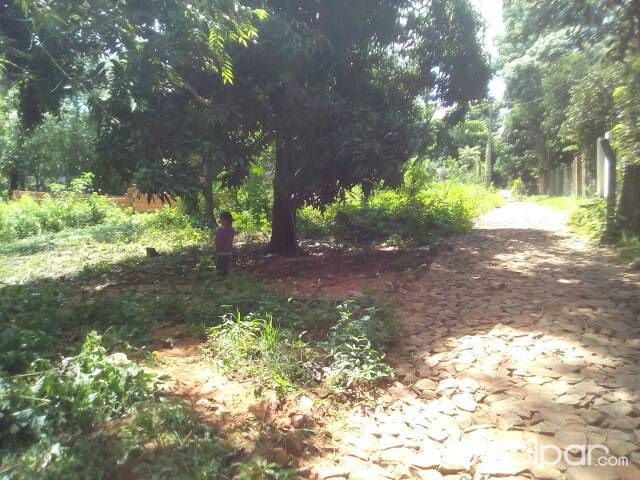 Vendo un terreno d 26x14 m2 a 30m d Manuel O. Guerrero en el barrio Rincón d Ñemby sobre empedrado — foto 3