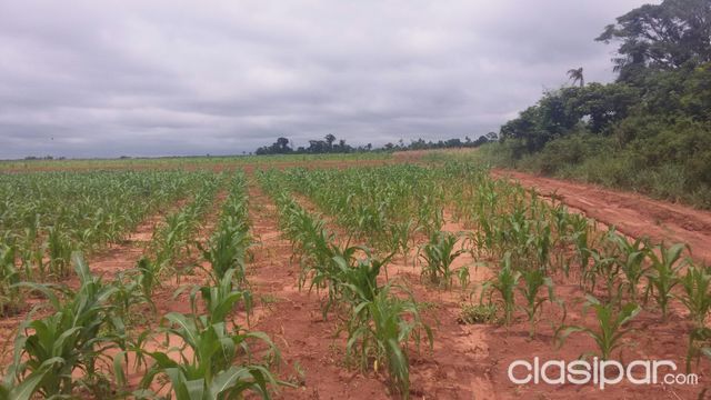 ESPECIAL PARA EL CULTIVO 33 has... — foto 2