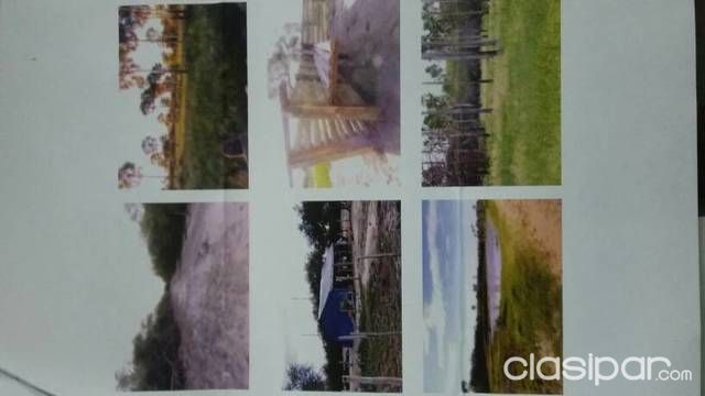 3.000 hectareas en Alto Paraguay — foto 3