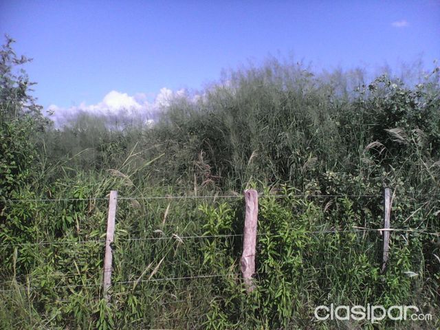 Granja a la venta — foto 3