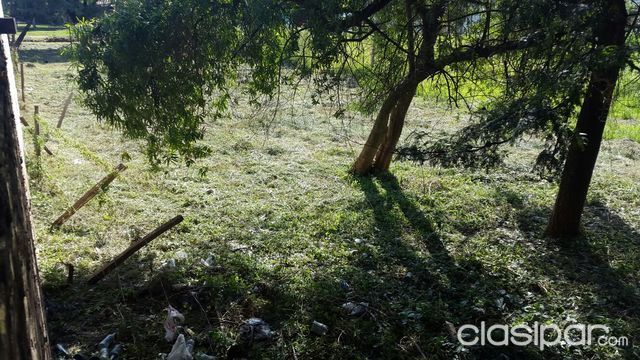TERRENO ZONA SHOPPING PINEDO — foto 2