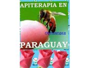Apiterapia Abejas Que Curan