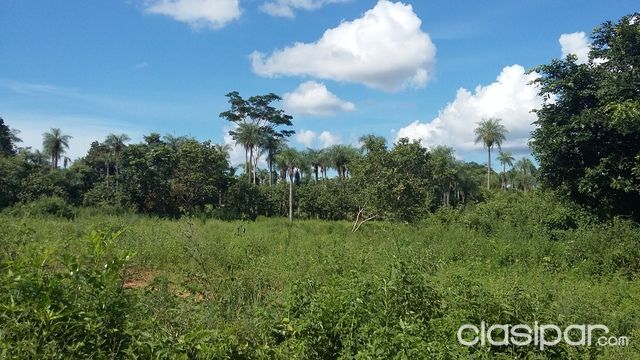 en ITAUGUA ( ITAUGUA GUAZU ) a 400 mts del asfalto 15 x 68 m2 TITULADO — foto 2