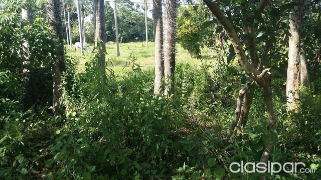 en ITAUGUA ( ITAUGUA GUAZU ) a 400 mts del asfalto 15 x 68 m2 TITULADO — foto 3