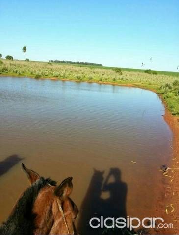 Hermosa propiedad de 50, 60, 70 o 100 has. En el departamento d Caaguazú, camino a YHU, Ruta 13 — foto 3