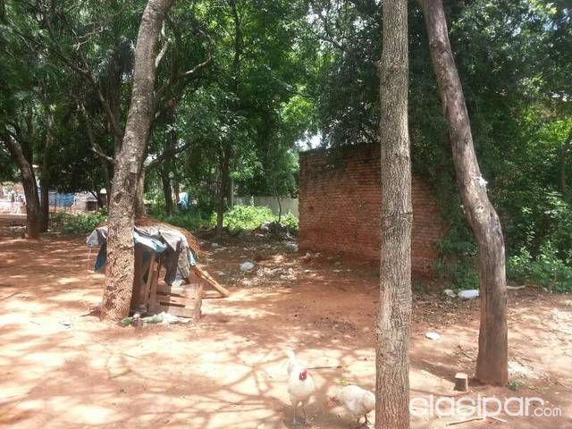 Vendo terreno mariano roque alonzo — foto 3