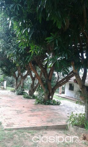 ATENCION! Propietaria vende lugar paradisiaco con mucho potencial — foto 2