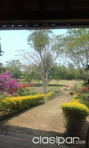 ATENCION! Propietaria vende lugar paradisiaco con mucho potencial — foto 3