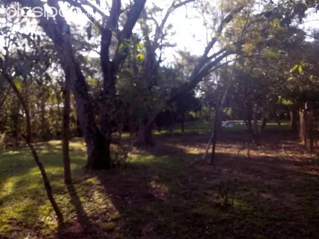 TERRENO EN LIMPIO: OFERTA INIGUALABLE!! — foto 3