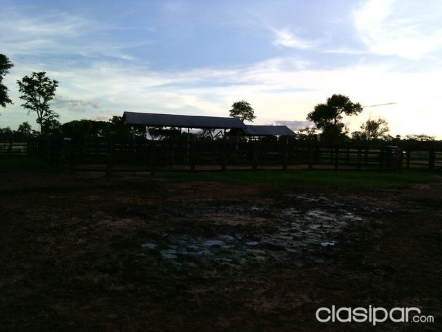 OFERTA LINDO ESTABLECIMIENTO ZONA PTO ANTEQUERA — foto 3