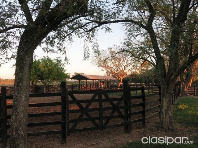 VENDO CAMPO NATURAL DE 900 HAS. A 55 KM DE ASUNCIÓN — foto 2