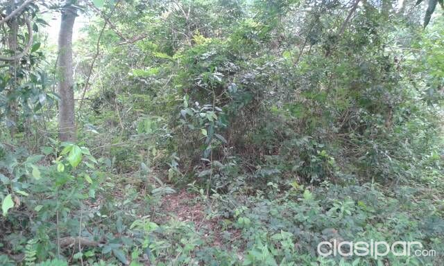 Vendo 8 terreno — foto 2