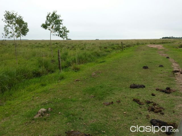 VENDO CAMPO TITULADO — foto 3