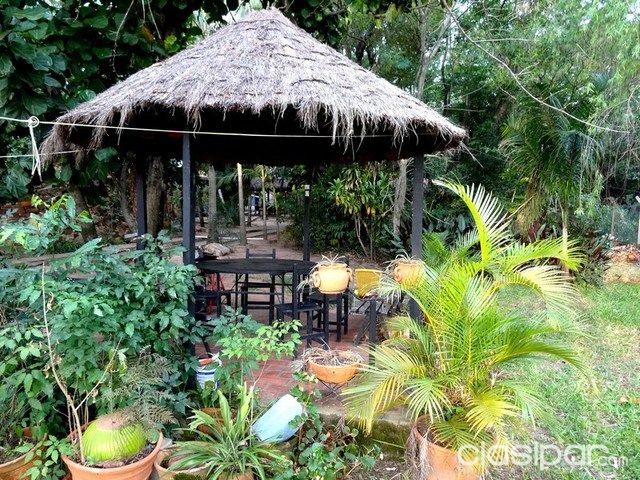 HERMOSA CASA QUINTA EN SAN BERNARDINO — foto 2