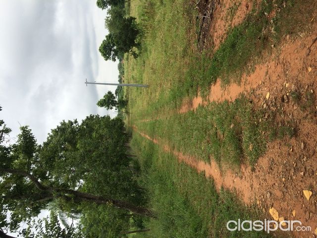 Vendo Granja 6,5 HA — foto 2