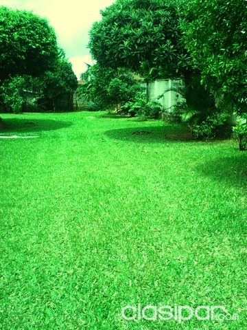 Vendo terreno zona Palma Loma Luque — foto 2